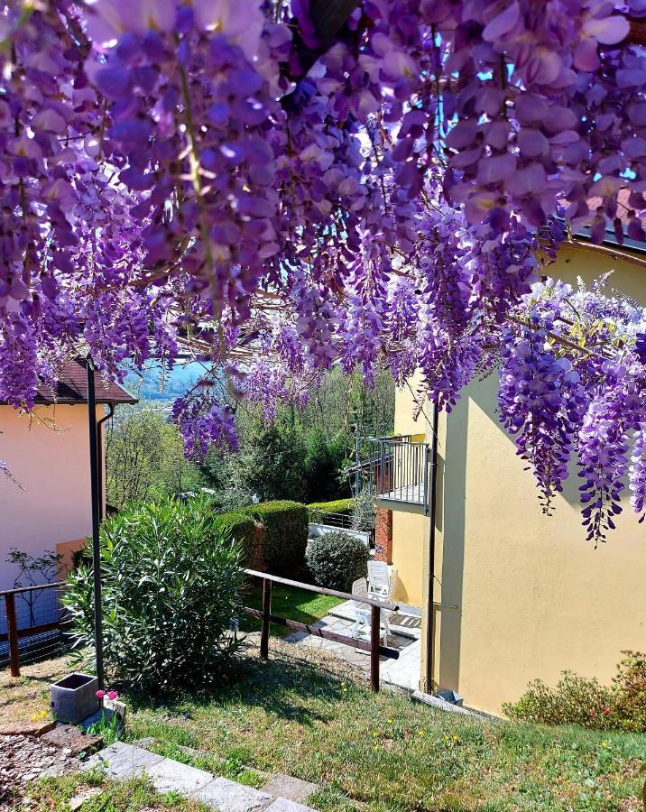 Casa Vacanza Il Glicine 카살레 코르테 세로 외부 사진